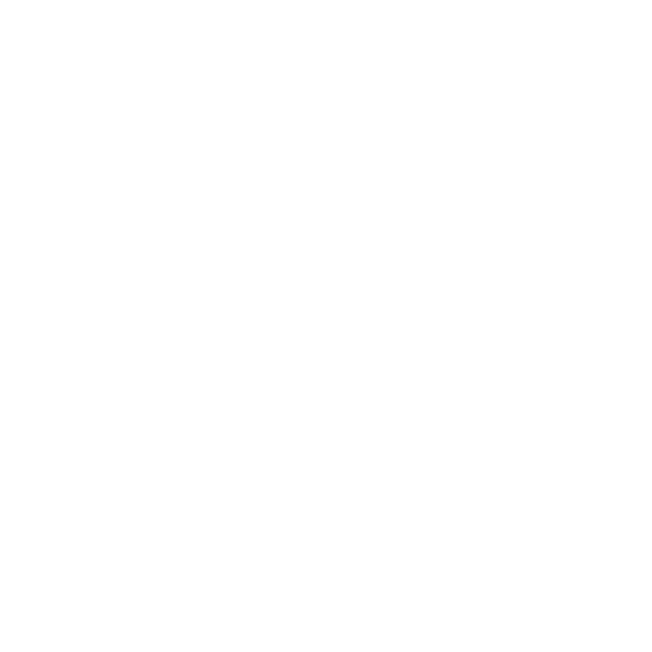  specialization  —  Online MBA track icon