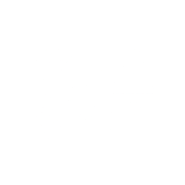  specialization  —  Online MBA track icon