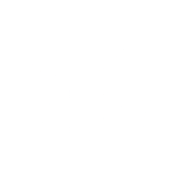 specialization  —  Online MBA track icon