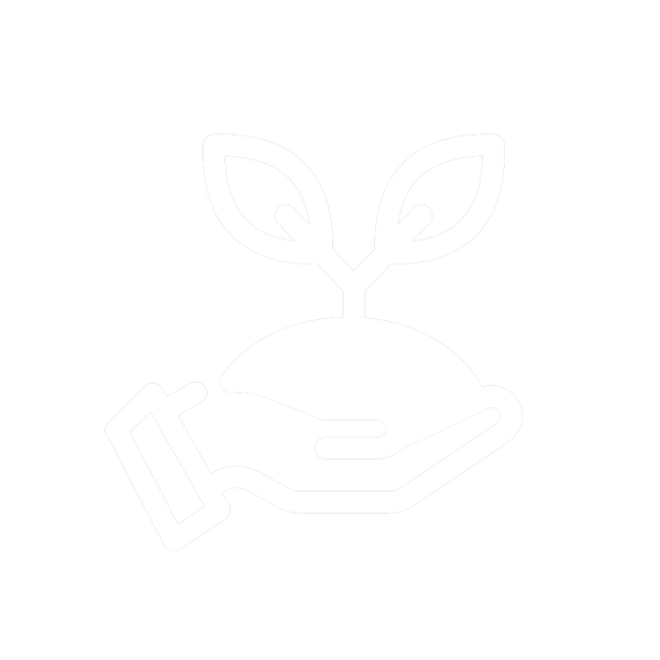  specialization  —  Online MBA track icon