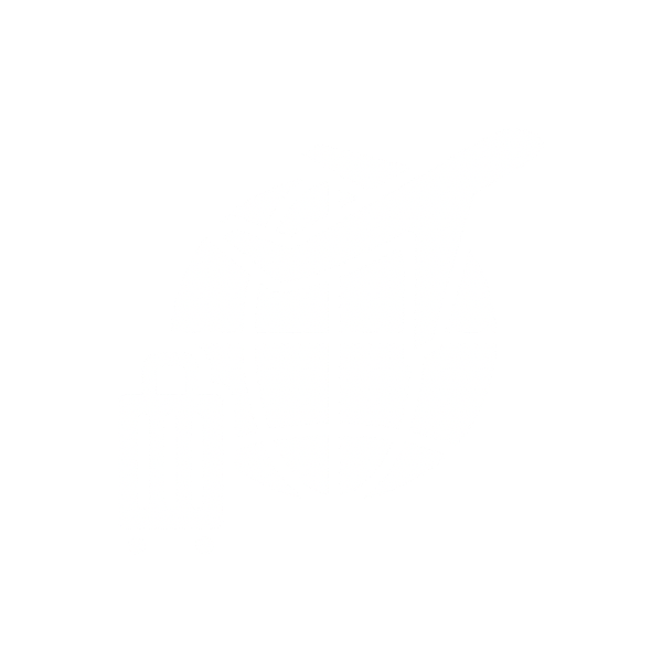  specialization  —  Online MBA track icon