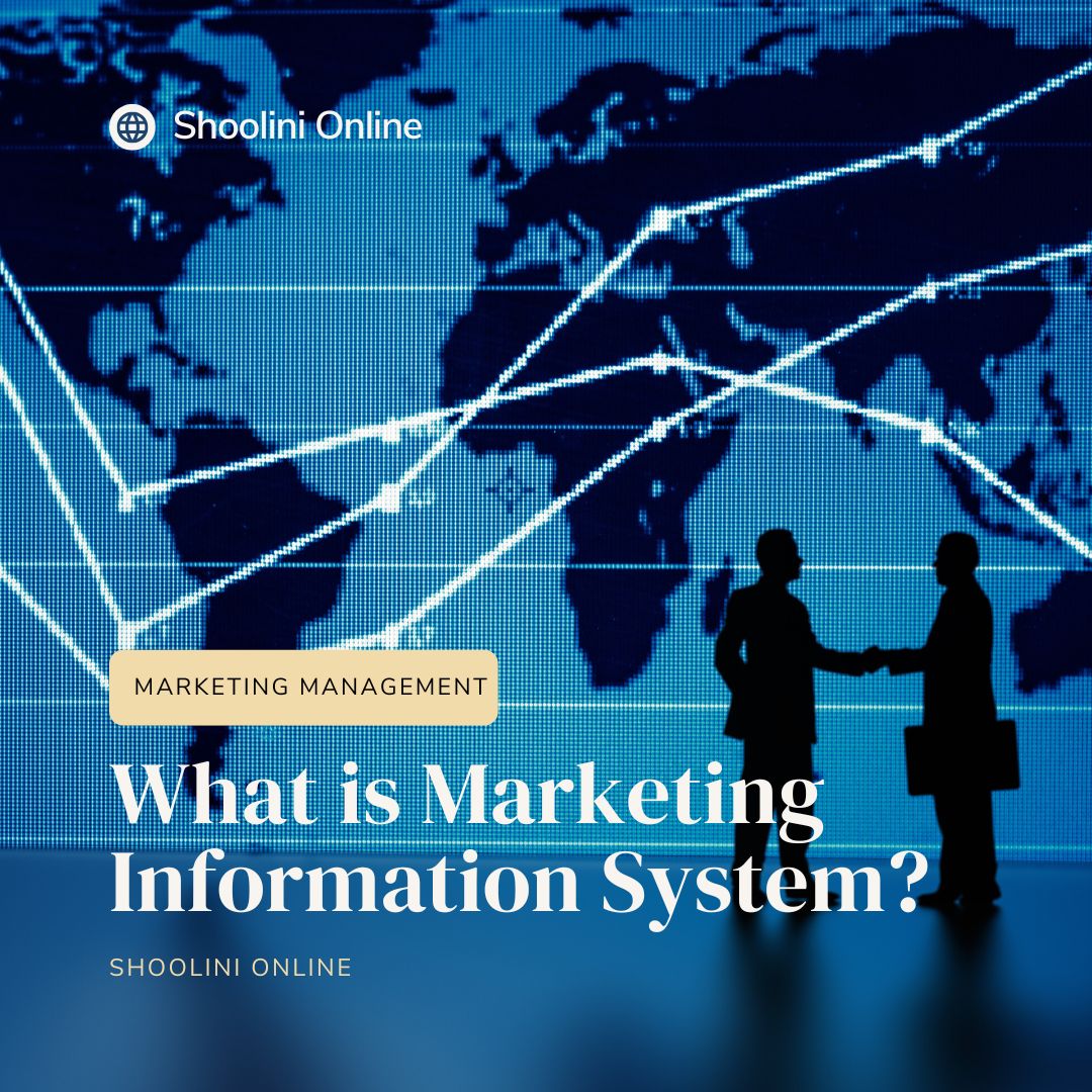 Why Your Business Needs a Marketing Information System