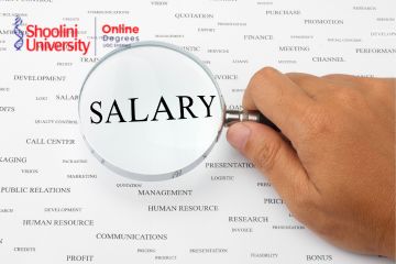 What is after bba jobs salary?