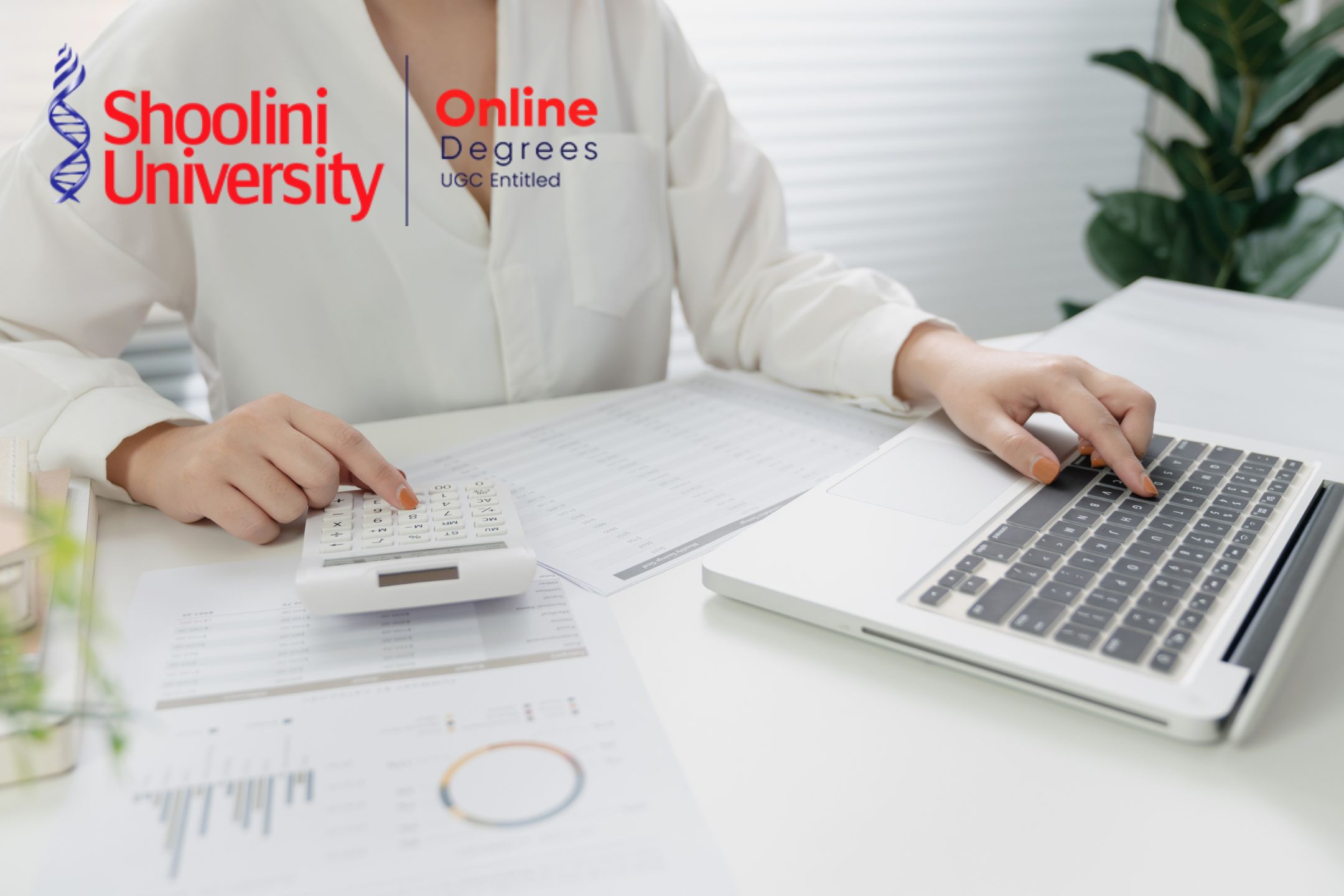 How to Become a Chartered Accountant After Graduation: Step-by-Step Guide